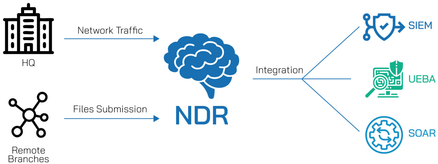 NDR-6101-02-1536x575 NDR-6101-02-1536x575